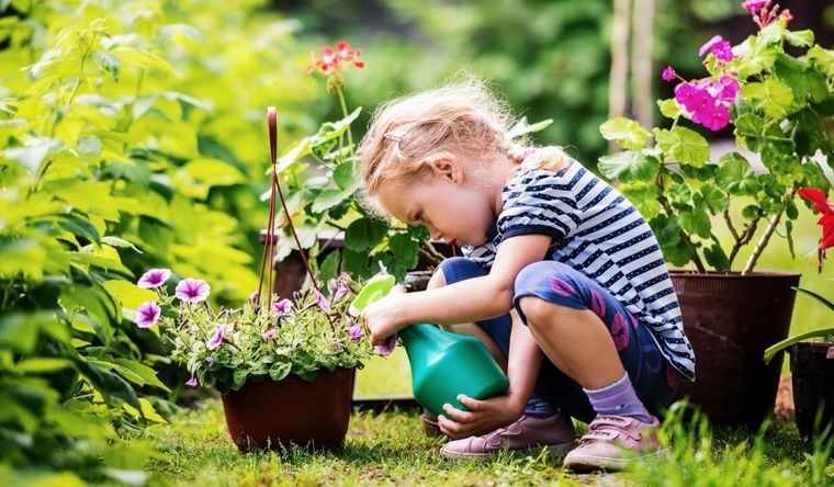 jardinería actividad saludable