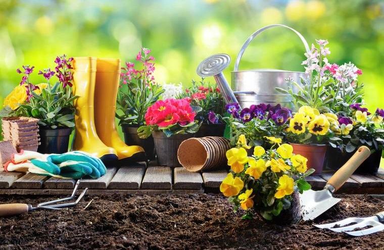 jardinería beneficios saludables