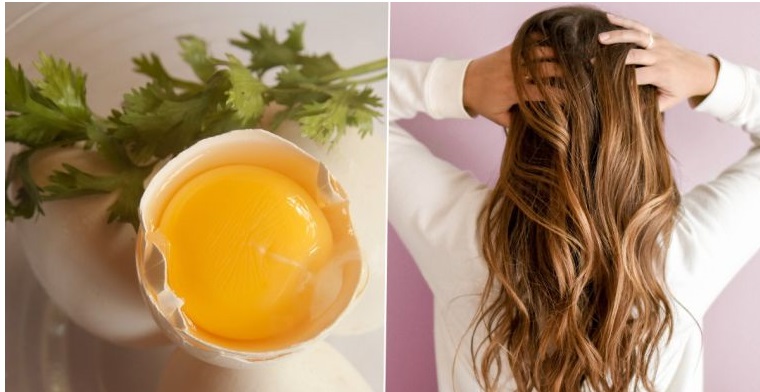 cuidado del cabello aceite oliva huevo