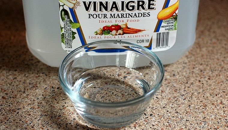 hormigas en casa eliminar con vinagre