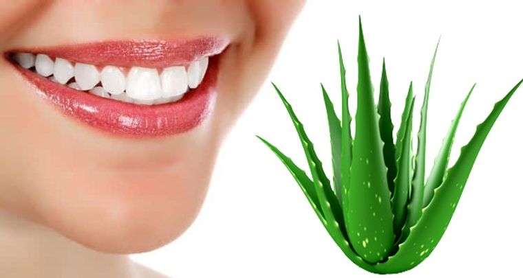 beneficios del aloe vera para dientes
