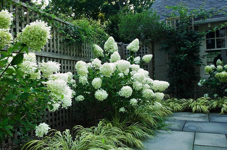 flores-de-otono-consejos-ideas-hortensias