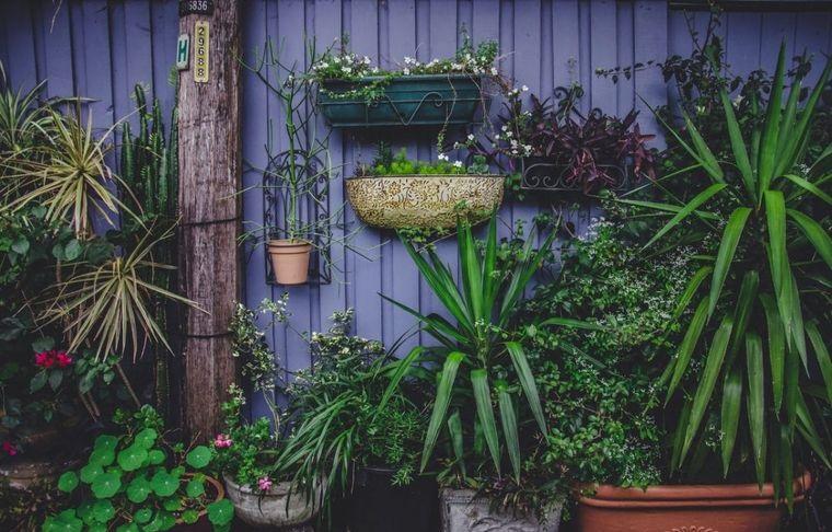 ideas para jardines pequeños plantas variadas