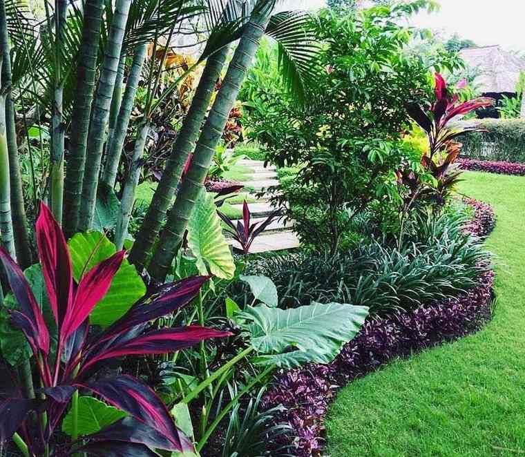 jardín tropical color textura