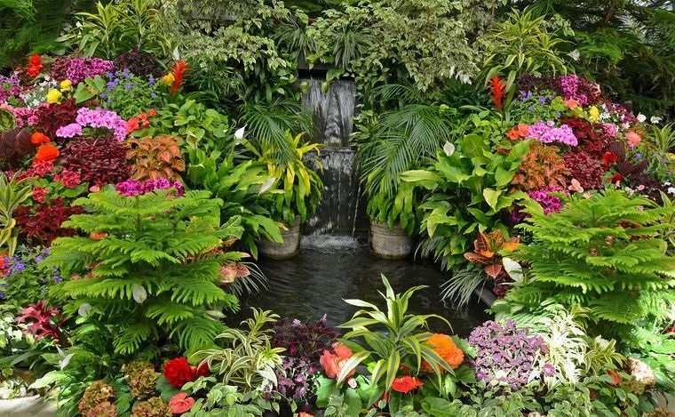 jardín tropical con pequeño estanque de agua