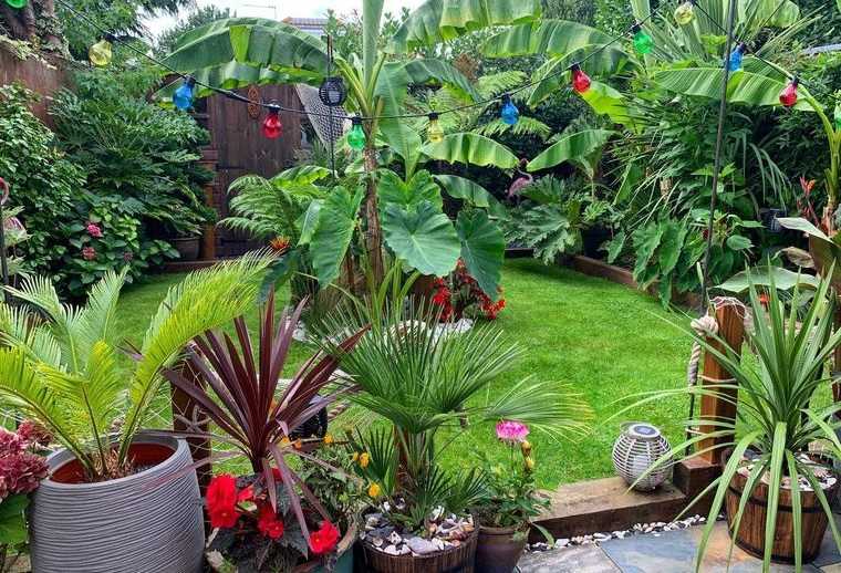 jardín tropical en pequeño patio trasero
