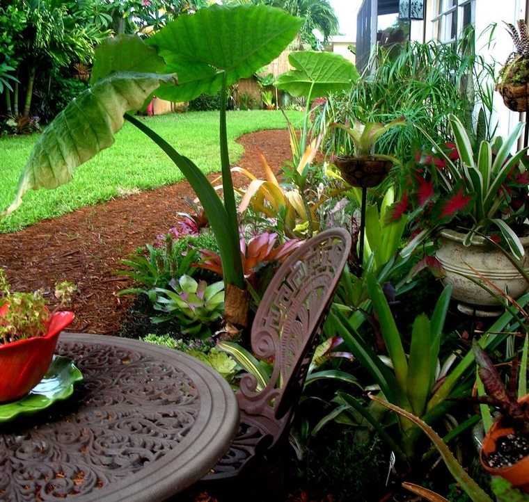 jardín tropical hermosas plantas