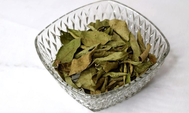 hojas de curry secas