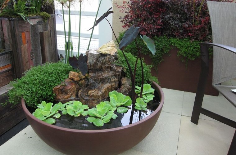 jardín acuático para interiores