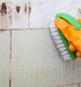Cómo limpiar el baño y quitar el moho - Consejos y remedios caseros