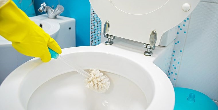 cómo limpiar el inodoro por dentro