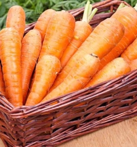 Conservar zanahorias – Aprende cómo almacenarlas por más tiempo