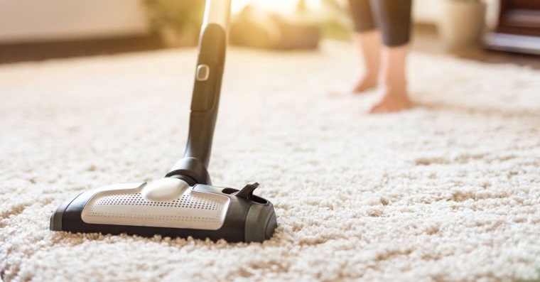 ácaros de polvo aspirar alfombras regularmente