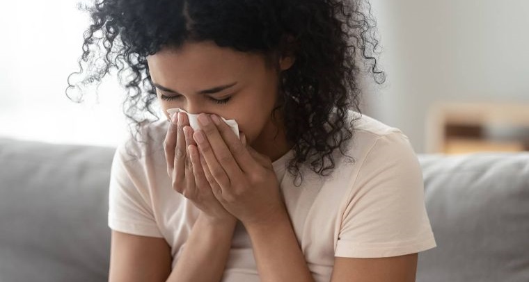 ácaros de polvo causan alergias