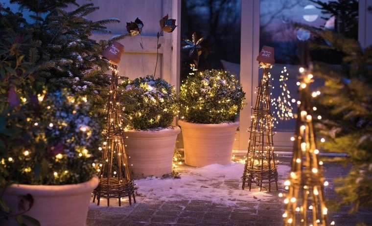 iluminacion navideña en plantas