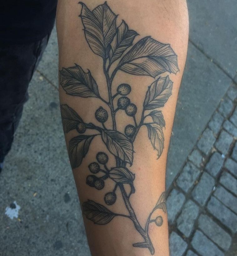 tatuajes de árboles acebo