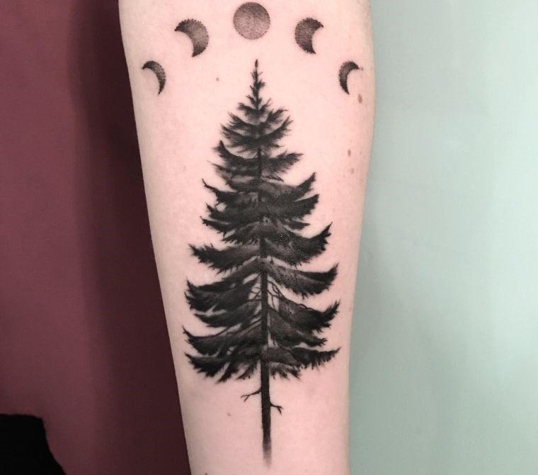 tatuajes de árboles de pino