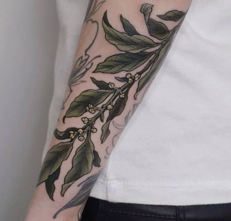 tatuajes de árboles laurel