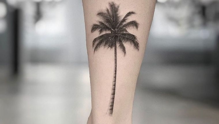 tatuajes de árboles palmera