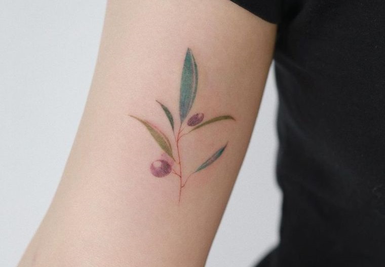 tatuajes de hojas diseño de olivo