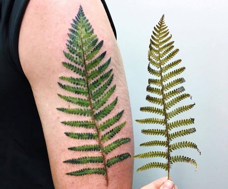 tatuajes de hojas diversos significados