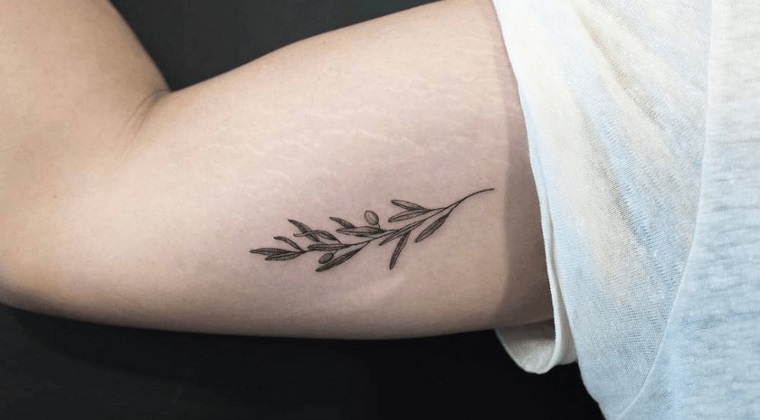 tatuajes de hojas en brazo interior
