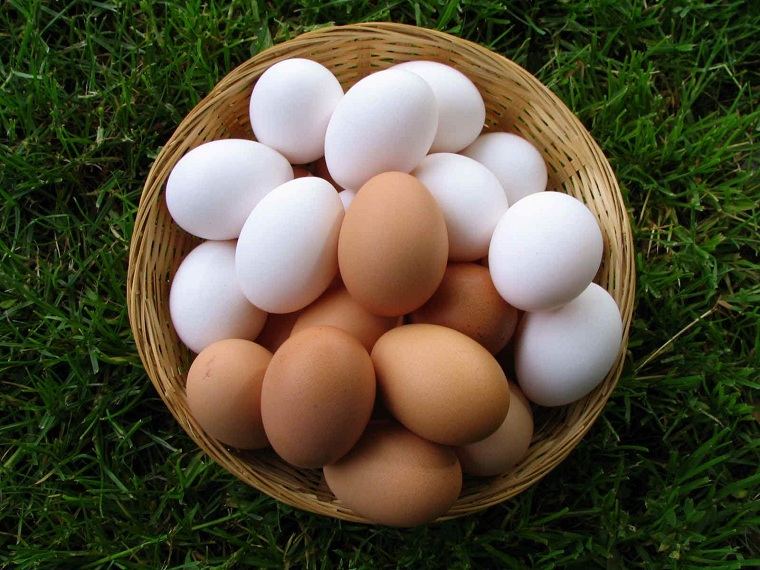 huevos-ideas-comer-sano-50-anos