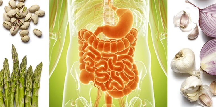 salud intestinal alimentos prebioticos