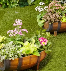 Decoración para jardín – Ideas muy económicas para darle un cambio a tu espacio al aire libre