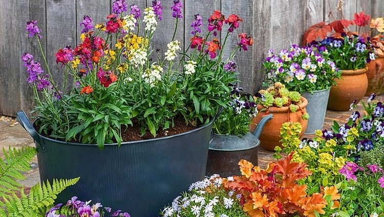 decoración para jardín economica macetas flores colores