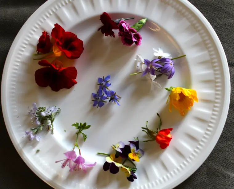 como decorar tus platos con flores