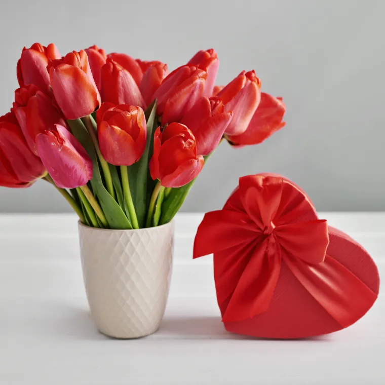 tulipanes rojos para regalar