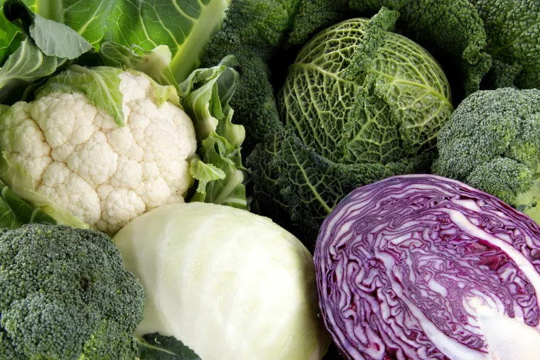 verduras-saludables-prevenir-el-cancer