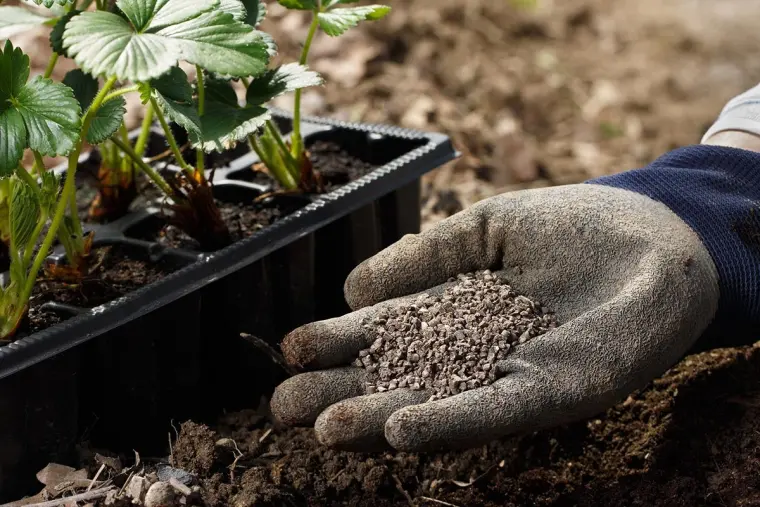 Cómo hacer fertilizantes caseros – 6 recetas de fertilizantes orgánicos