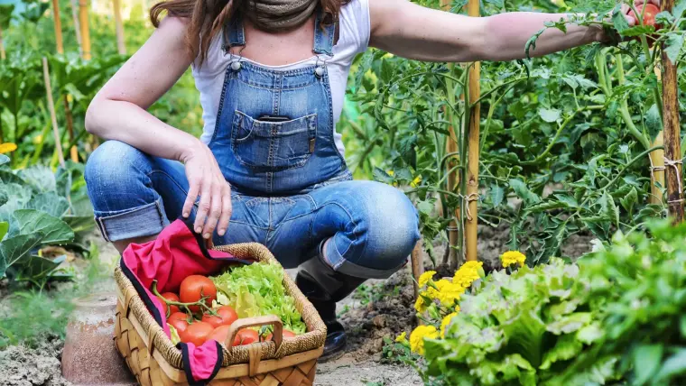 como hacer pesticidas para el jardin