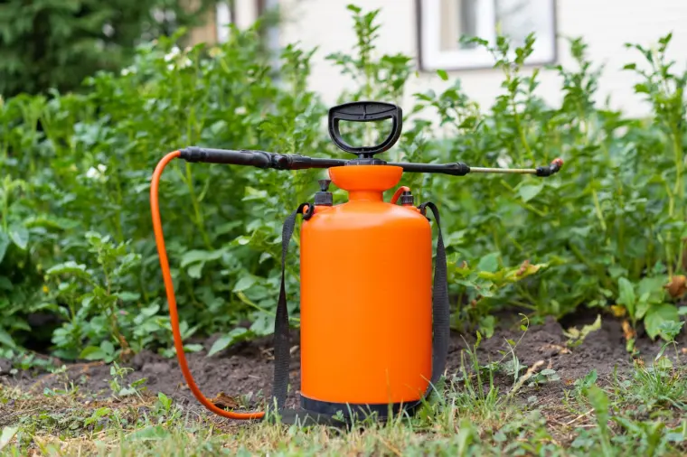 ingredientes de cocina que puedes utilizar como insecticidas en tu jardín