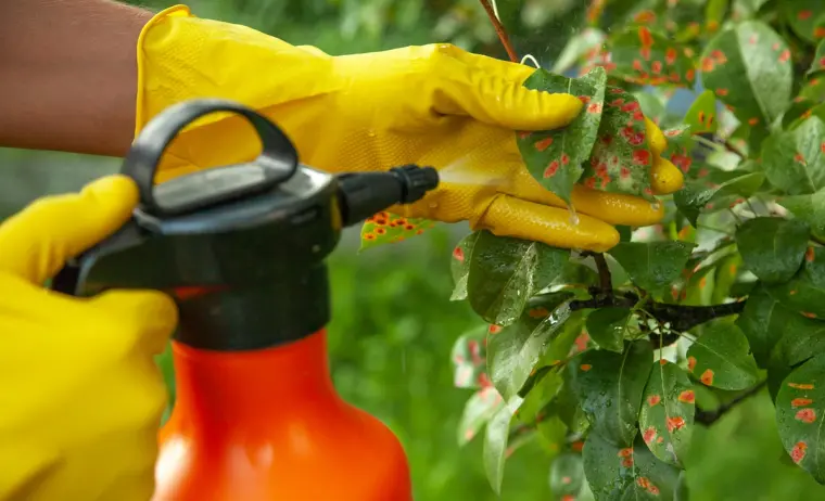 pesticidas naturais para o jardim