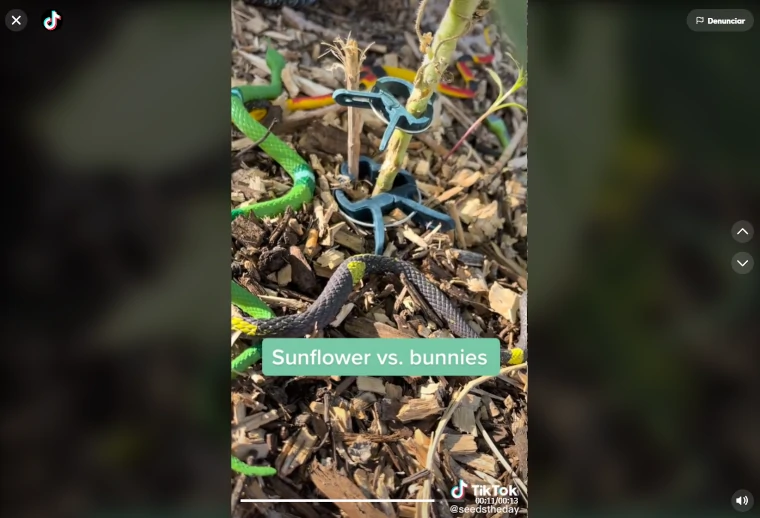 serpientes de plástico para jardín