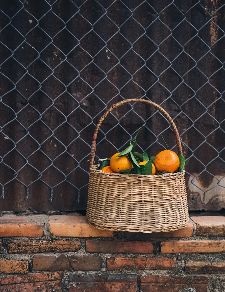 como conservar sus naranjas fresca