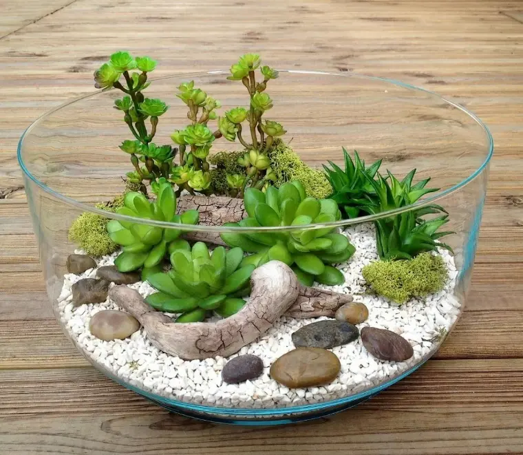 cuenco cristal mini jardín plantas diminutas