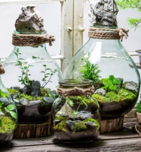 Mini Garden Zen paso a paso, y como crearlo dentro de una botella de cristal
