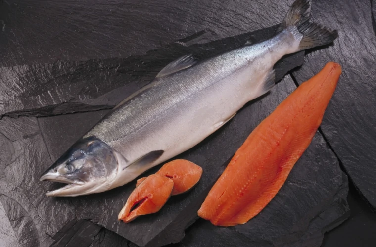 pescado