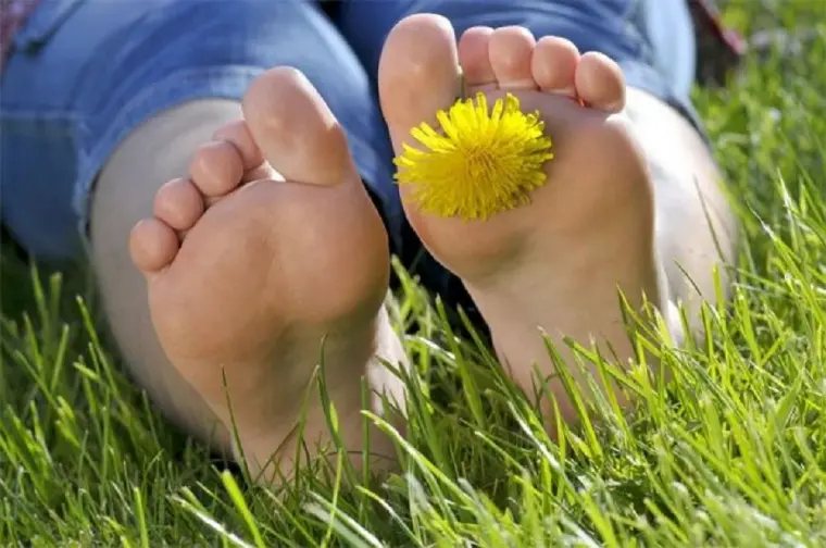 quitar olor a humedad ayuda mantener unos pies sanos frescos