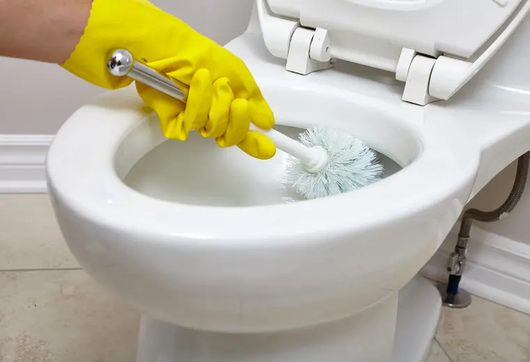 como quitar las manchas del WC