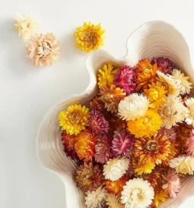 Usar Flores Preservadas para Decorar tu hogar. La nueva Tendencia 2022