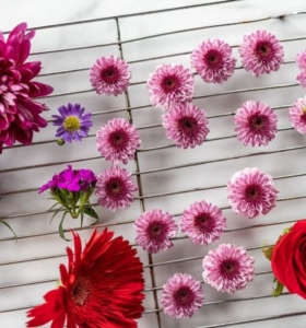 ¿Cómo secar flores? - 4 maneras fáciles y rápidas para probar este otoño
