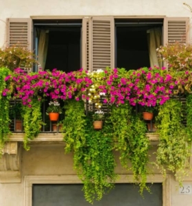 Decorar Terraza con Plantas | Claves Estupendas para un Balcón de Inspiración