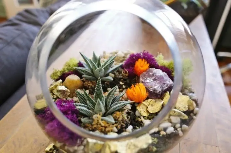 Terrarium con esfera de cristal