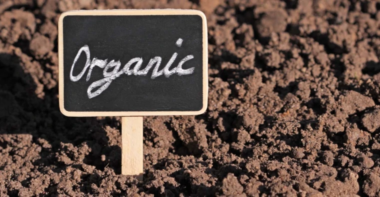 benefícios dos fertilizantes orgânicos