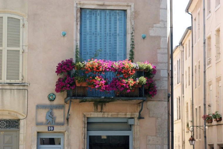 decorar terraza con-flores